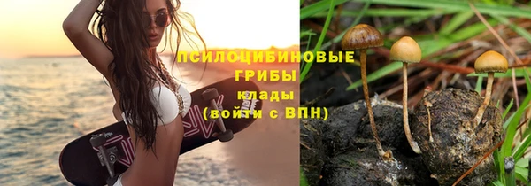 2c-b Михайловка