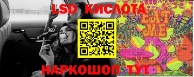 амф Кингисепп