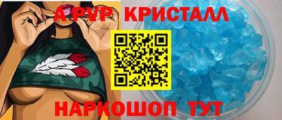 амф Кингисепп