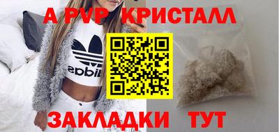 амф Кингисепп