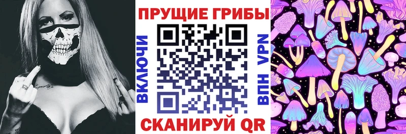 как найти закладки  Тихвин  Псилоцибиновые грибы MAGIC MUSHROOMS 