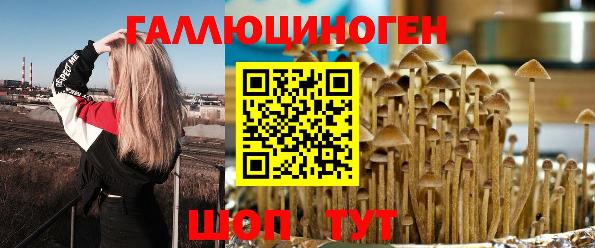 купить наркотики цена  Псилоцибиновые грибы Psilocybine cubensis  Вход с VPN  Тихвин  Псилоцибиновые грибы Psilocybe 